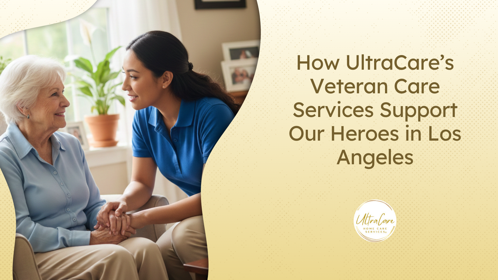 veteran care